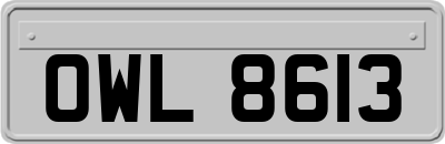 OWL8613