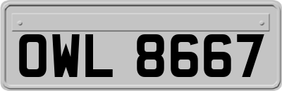 OWL8667