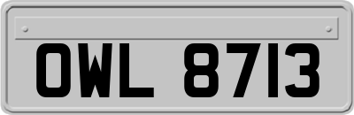 OWL8713