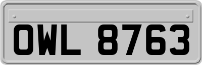 OWL8763