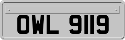 OWL9119