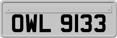 OWL9133
