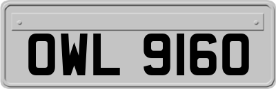 OWL9160