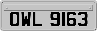 OWL9163