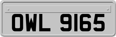 OWL9165