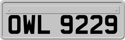 OWL9229
