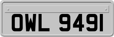 OWL9491