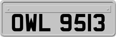OWL9513