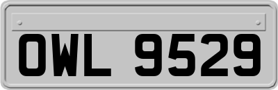 OWL9529