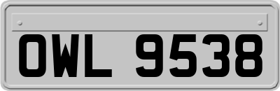 OWL9538