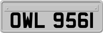 OWL9561