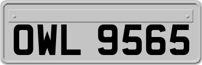 OWL9565