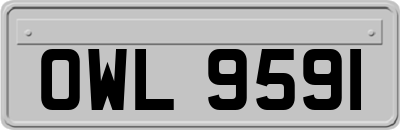 OWL9591
