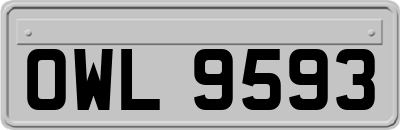OWL9593