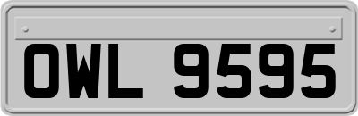 OWL9595
