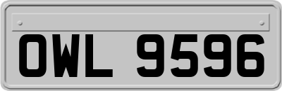 OWL9596