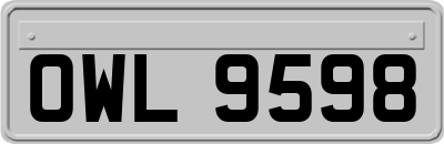 OWL9598
