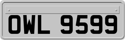 OWL9599