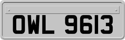 OWL9613