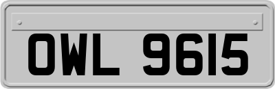 OWL9615