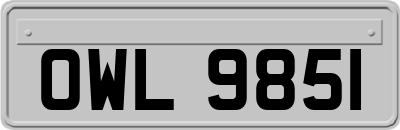 OWL9851