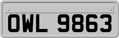 OWL9863