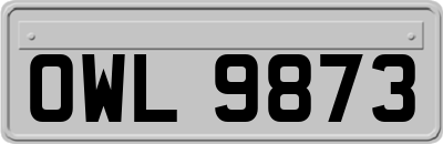 OWL9873