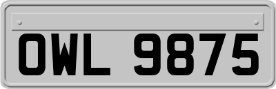 OWL9875
