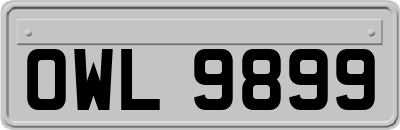OWL9899