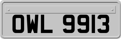 OWL9913
