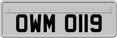 OWM0119