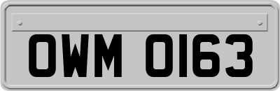 OWM0163