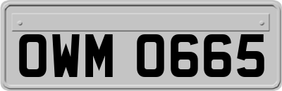 OWM0665