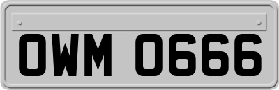 OWM0666