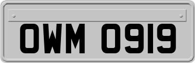 OWM0919