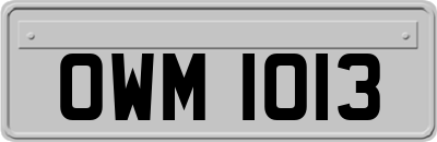OWM1013