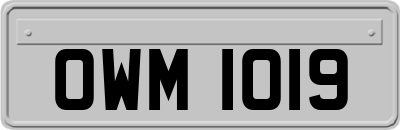 OWM1019