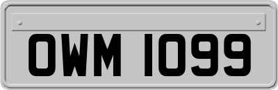 OWM1099