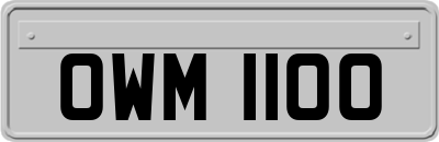 OWM1100