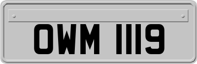 OWM1119