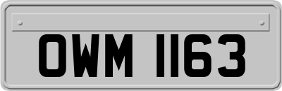 OWM1163
