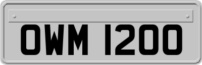 OWM1200
