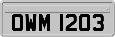OWM1203