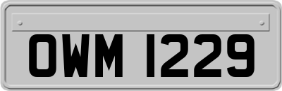 OWM1229