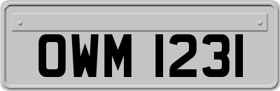 OWM1231