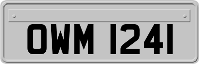 OWM1241