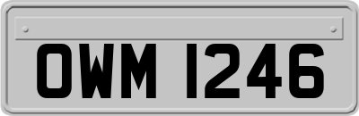 OWM1246