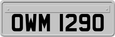 OWM1290