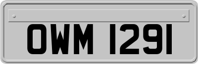 OWM1291