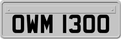 OWM1300
